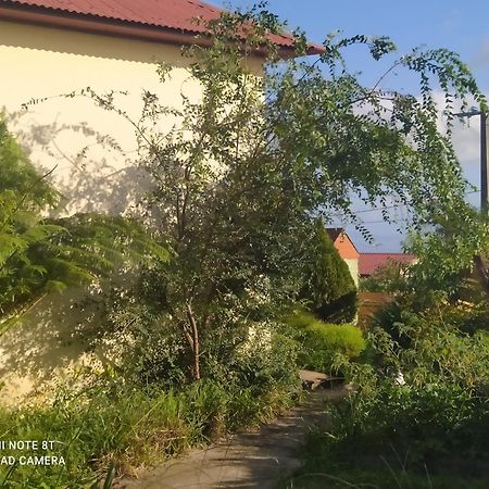 Petit Appartement Dans Une Maison Individuelle Le Tampon Zewnętrze zdjęcie